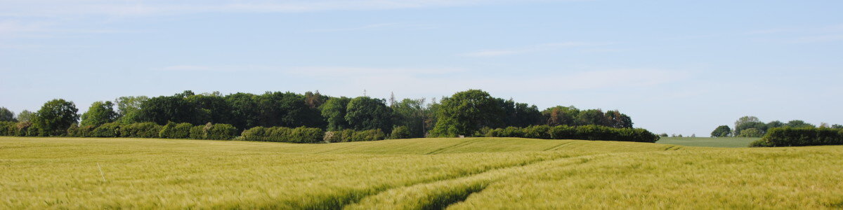 Datenschutz vlf SH