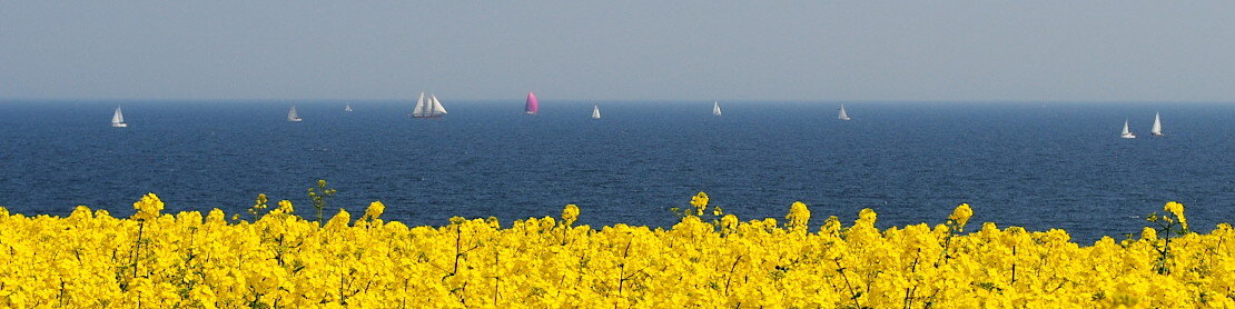 vlf Ostholstein