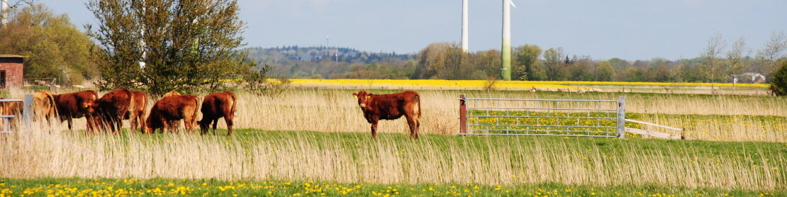 vlf Dithmarschen