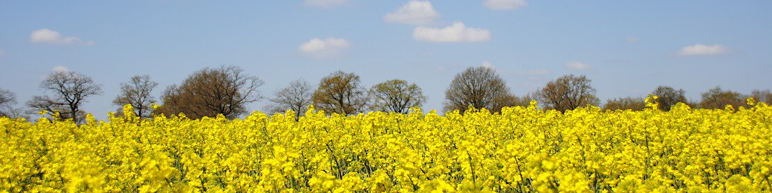 vlf Segeberg und Kaltenkirchen